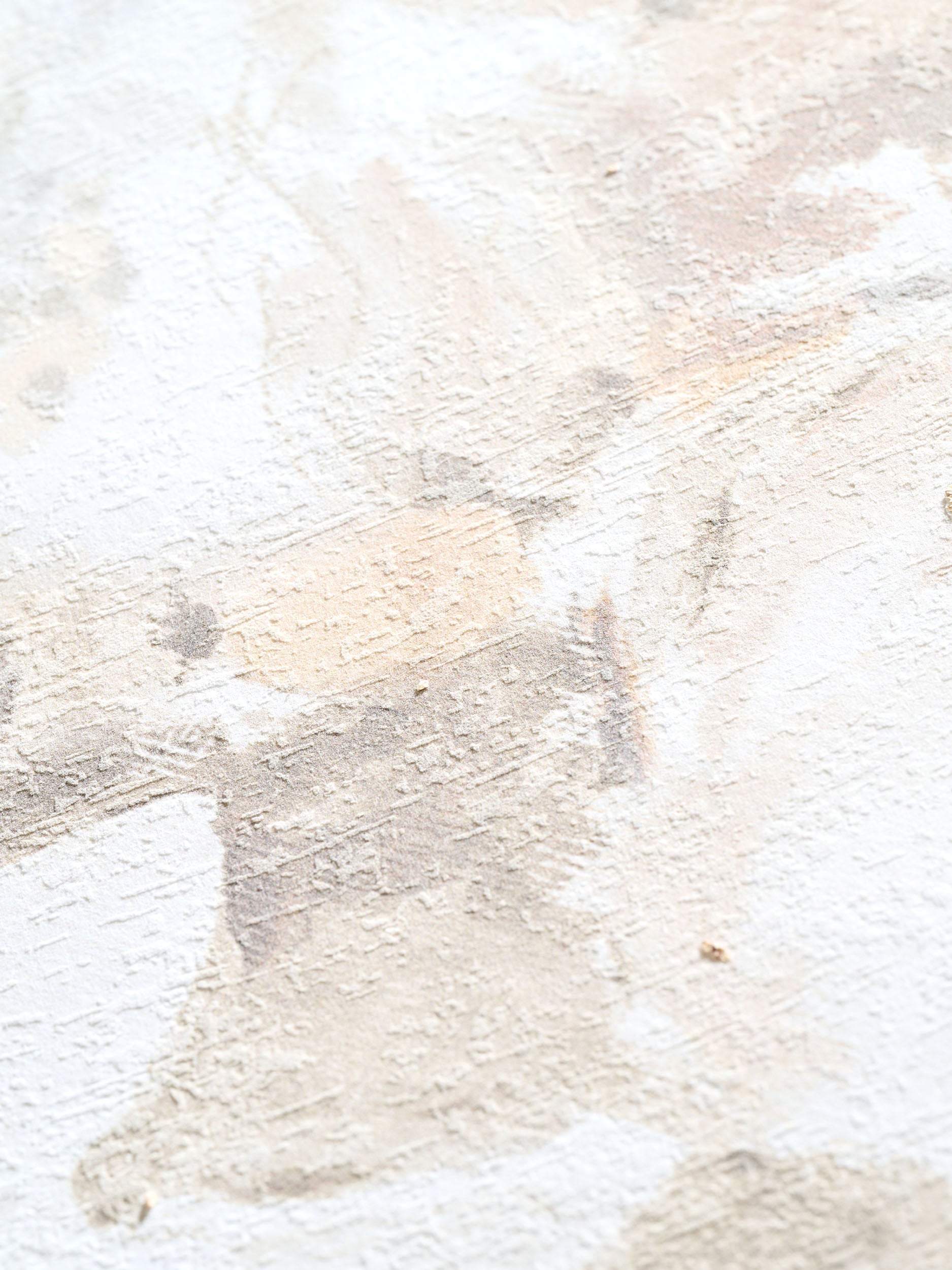 #farbe_beige